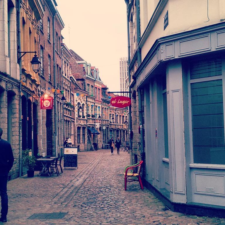 Lille Centre Ville, Beaux Arts Et Grand Palais, Bienvenue Chez Nestyou 里尔 外观 照片