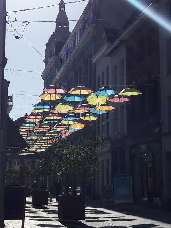 Lille Centre Ville, Beaux Arts Et Grand Palais, Bienvenue Chez Nestyou 里尔 外观 照片