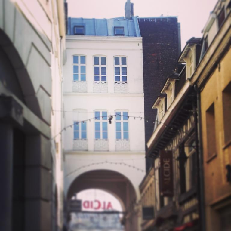 Lille Centre Ville, Beaux Arts Et Grand Palais, Bienvenue Chez Nestyou 里尔 外观 照片