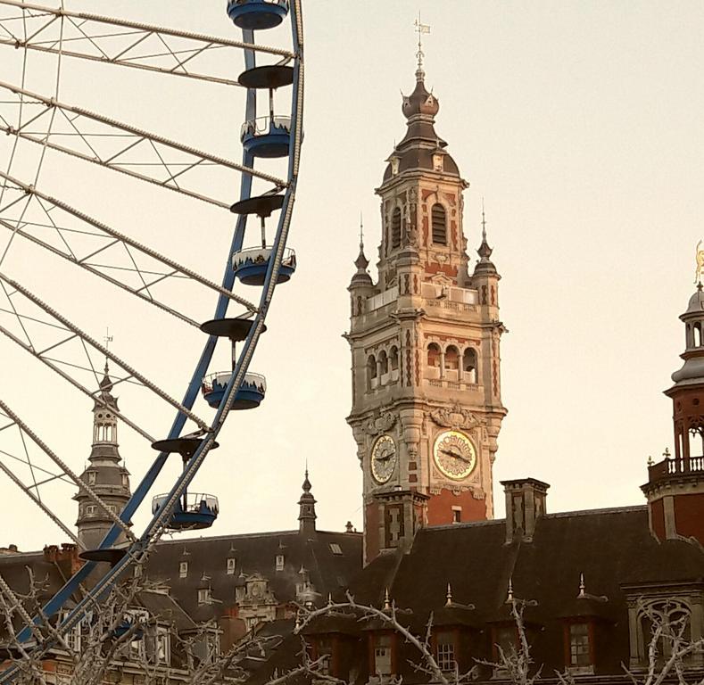 Lille Centre Ville, Beaux Arts Et Grand Palais, Bienvenue Chez Nestyou 里尔 外观 照片